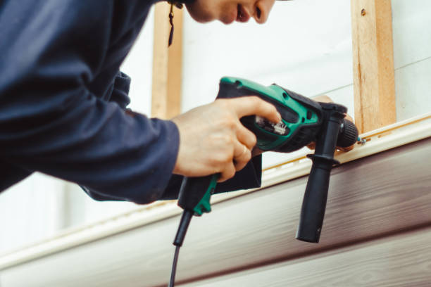 Best Custom Siding Design  in Burlington, KY